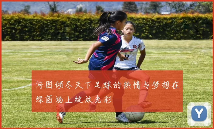 河图倾尽天下足球的热情与梦想在绿茵场上绽放光彩
