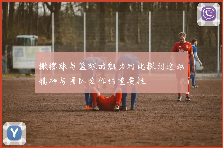 橄榄球与篮球的魅力对比探讨运动精神与团队合作的重要性