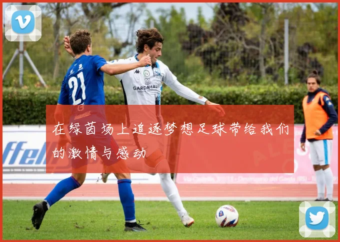 在绿茵场上追逐梦想足球带给我们的激情与感动