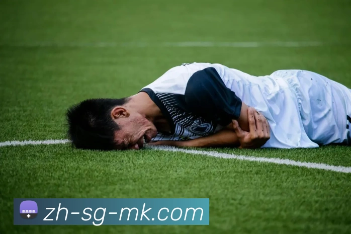 MK体育平台APP 封面图